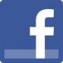 Facebook Social Plugins