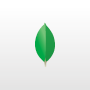 MongoDB Expando Adapter