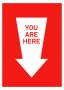 You are here