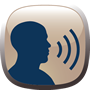 Voice commands