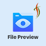 File Preview